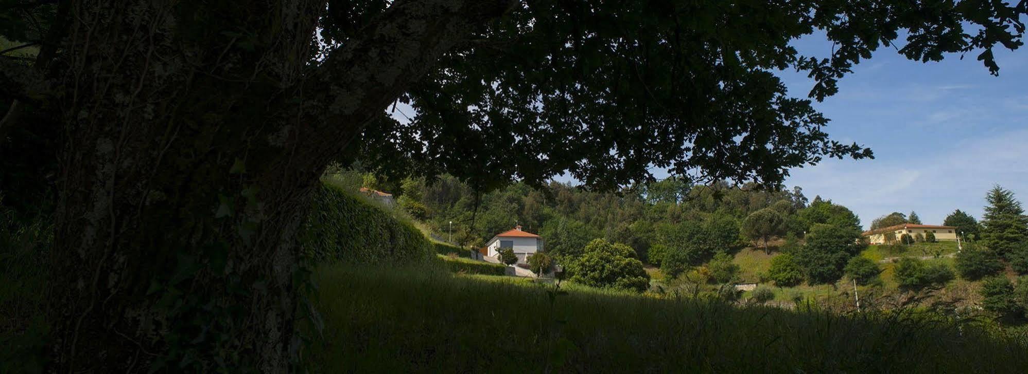Quinta Do Fontelo Villa Vouzela Exterior photo